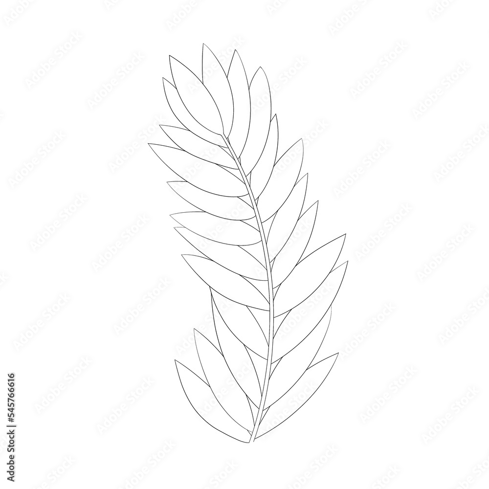 romantic flower sketch graphic leaf, blooming spring garden isolated on white background romantic flower sketch graphic leaf, blooming spring garden isolated on white background