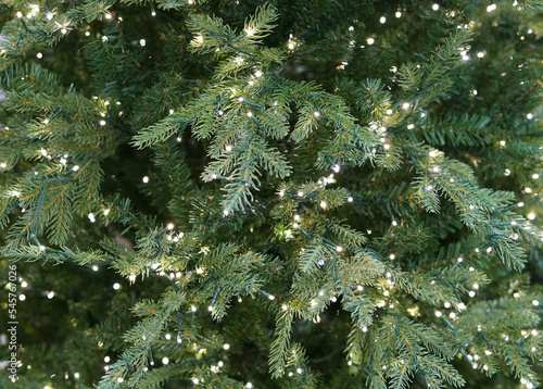 Canvastavla Close up on Christmas tree with light