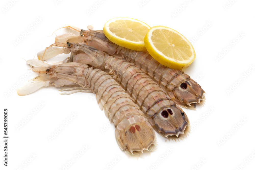 Three mantis shrimp with lemon slices isolated on white background. The Squilla mantis is a species of stomatopod crustacean in the Squillidae family. Three mantis shrimp with lemon slices isolated on white background. The Squilla mantis is a species of stomatopod crustacean in the Squillidae family.