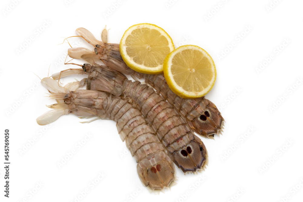 Three mantis shrimp with lemon slices isolated on white background. The Squilla mantis is a species of stomatopod crustacean in the Squillidae family. Three mantis shrimp with lemon slices isolated on white background. The Squilla mantis is a species of stomatopod crustacean in the Squillidae family.