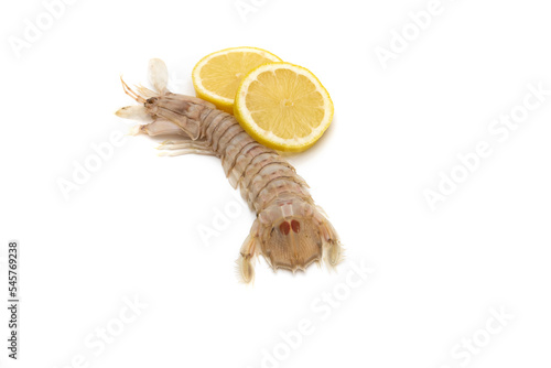 Mantis shrimp with lemon slices isolated on white background. The Squilla mantis is a species of stomatopod crustacean in the Squillidae family. photo