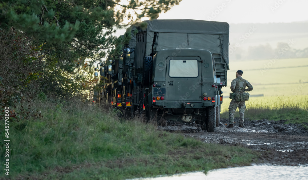 army logistics unit queued along a woodland track