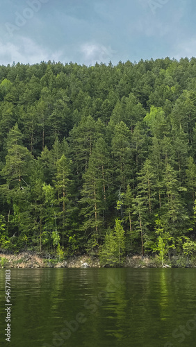 lake in the forest