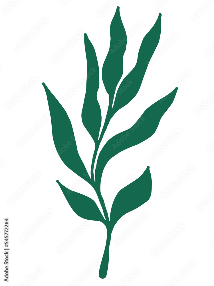 A branch with leaves. Plant drawing. Abstract Plant Art design for print, cover, wallpaper. PNG illustration