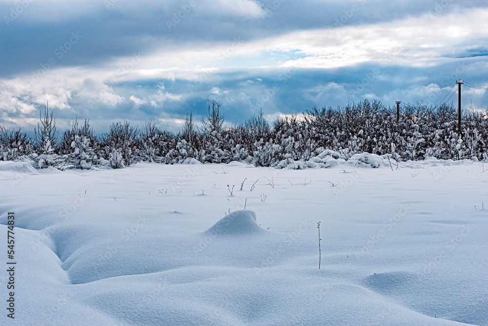 Landscape of a field covered with deep snowdrifts at the edge of a forest