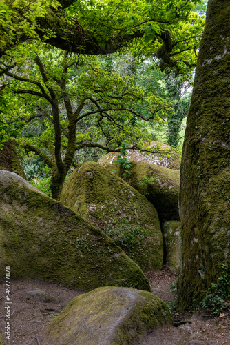 Huelgoat forest Le Menage de la Vierge in Brittany  France
