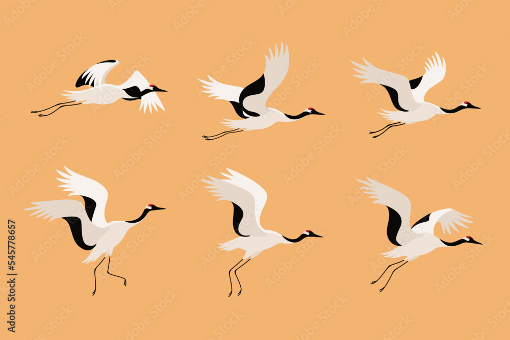 Obraz premium Red-crowned japanese crane. Cute bird in different poses. Vector illustration for prints, clothing, packaging, stickers.