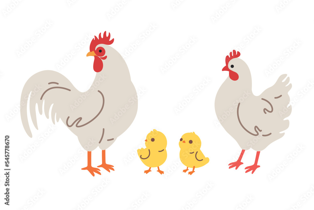 Set of domestic fowl - chick and roster. Vector contour illustration. Set of domestic fowl - chick and roster. Vector contour illustration.