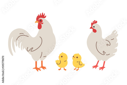 Set of domestic fowl - chick and roster. Vector contour illustration.