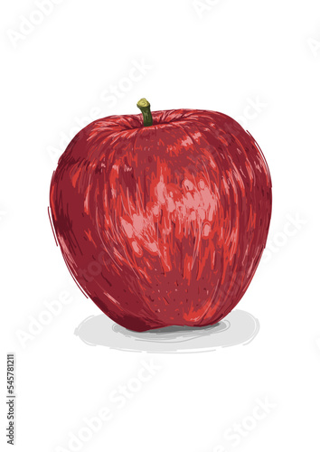 Ilustración manzana (malus domestica)