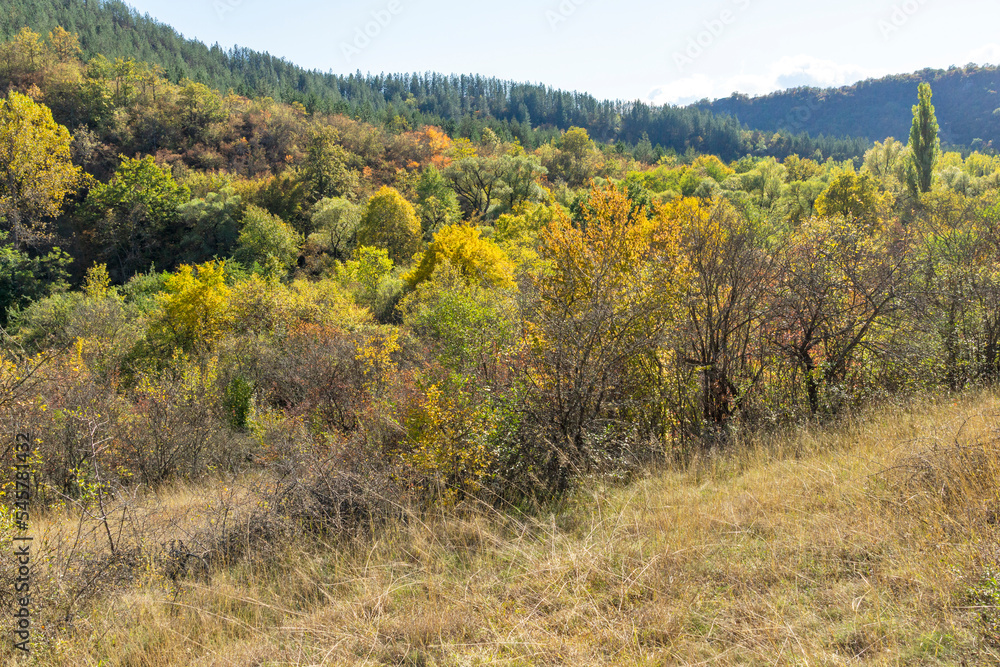 Autumn view of Nishava river gorge, Bulgaria Autumn view of Nishava river gorge, Bulgaria