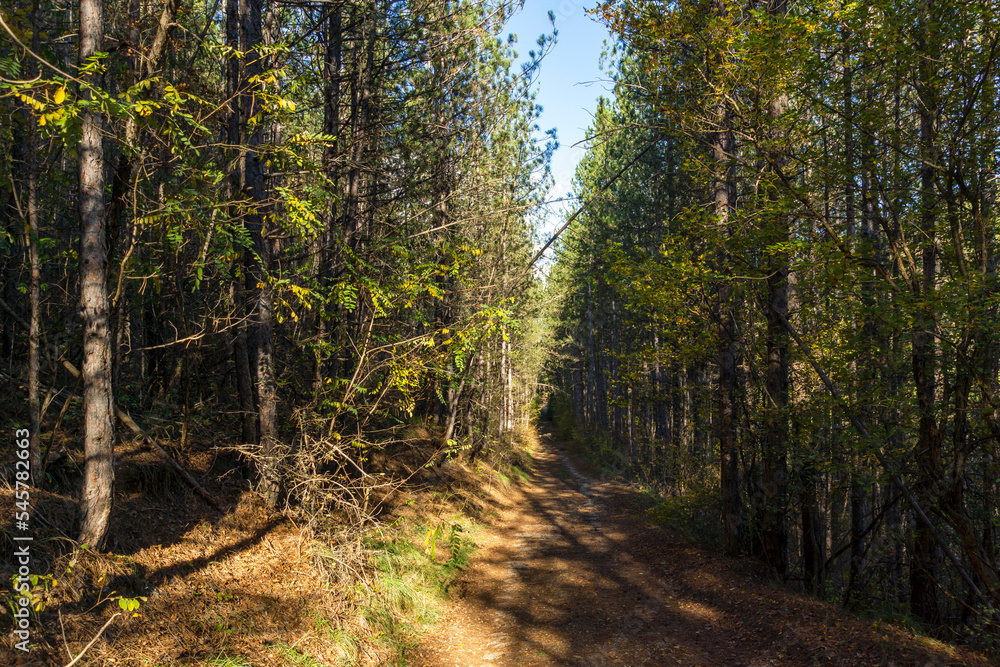 Obraz premium Autumn view of Nishava river gorge, Bulgaria