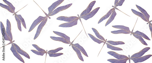 Abstract art background with dragonfly pattern in purple color with gold elements in art line style. Hand drawn vector banner for wallpaper design, decor, print, textile, interior design, packaging.