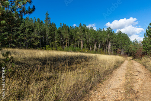 Autumn view of Nishava river gorge, Bulgaria photo