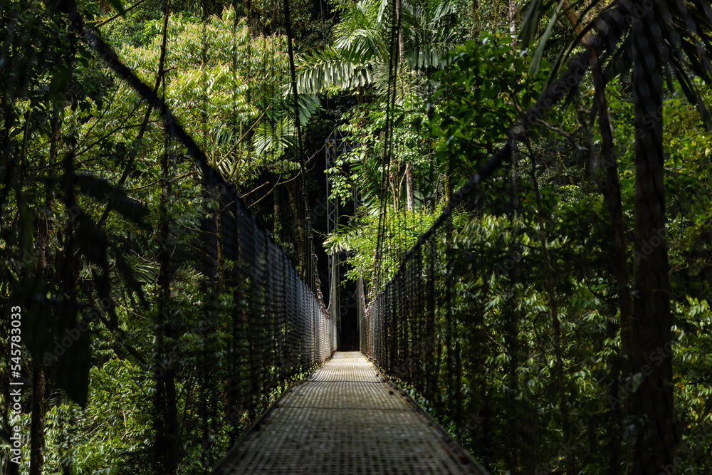Hanging bridge in the jungle of Costa Rica Hanging bridge in the jungle of Costa Rica
