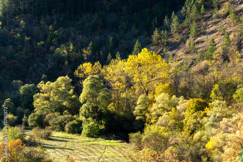 Autumn view of Nishava river gorge, Bulgaria