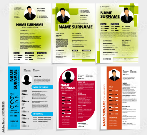 Professional resume template design. Business layout vector for job applications 