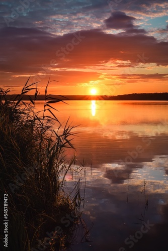 Sunrise on the lake. Green grass on the lakeside in the morning scenery.