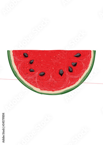 Ilustración Sandía (citrullus lanatus)