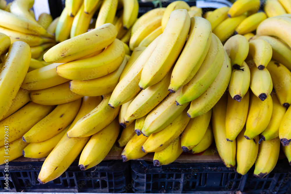 Showcase with ripe yellow bananas at outdoors market