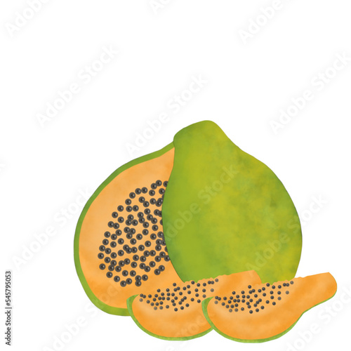 papaya fruit illustration