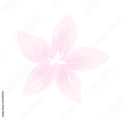 Pink flower illustration decoration
