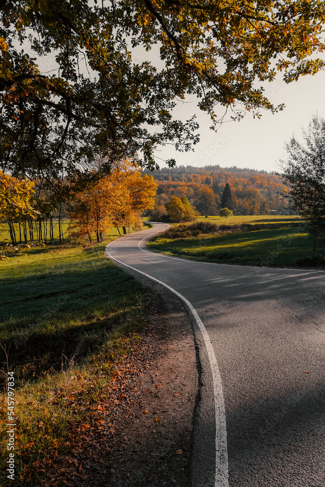 Naklejka premium Autumn Road