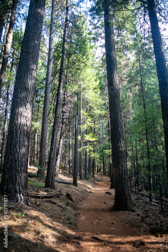 Castle Crag CaliforniaState Park looking at the Trail winding up the Mountain