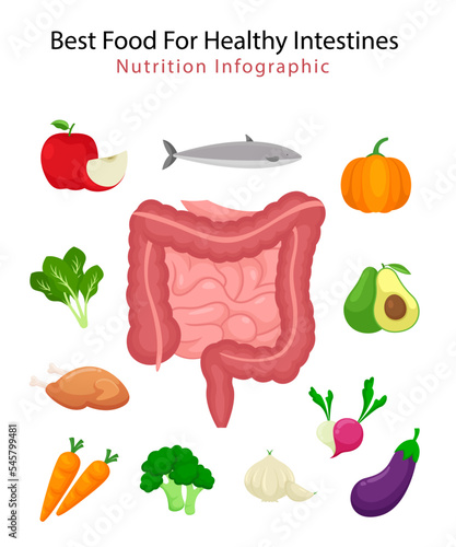 Best food for health intestines nutrition, health food illustration, nutrition infographic concept