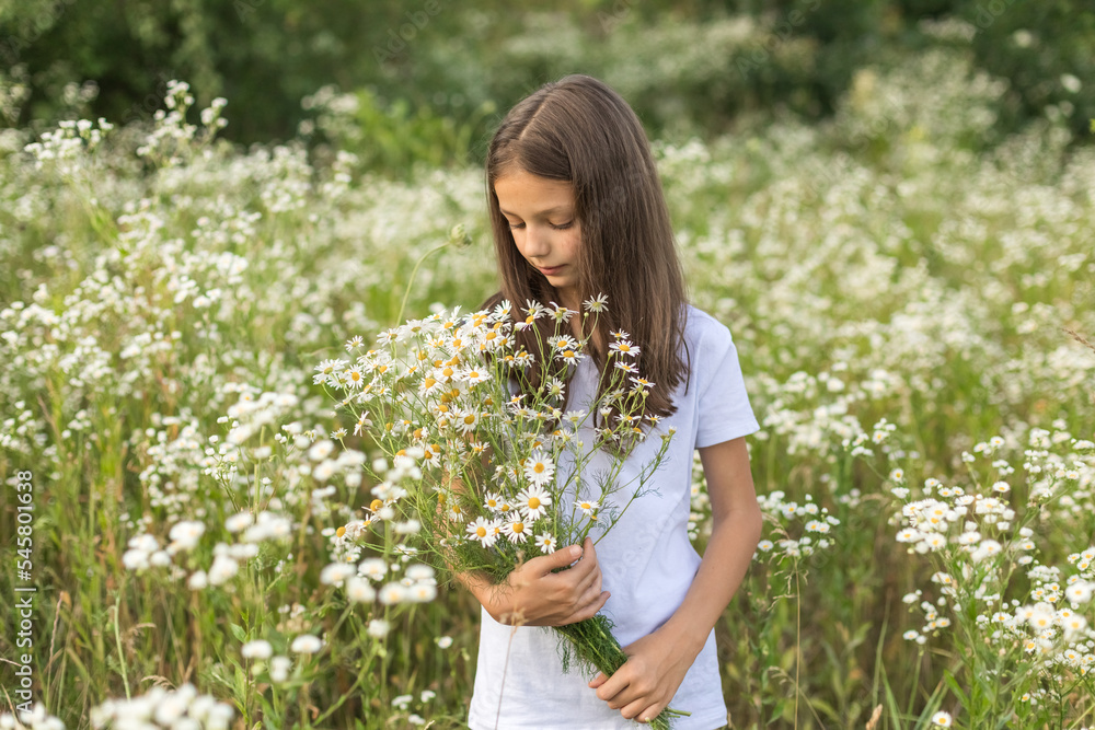 Portrait of a girl in a white T-shirt on a blooming field of daisies with a bouquet in her hands. A field of daisies on a sunny summer day. Selective focus. Portrait of a girl in a white T-shirt on a blooming field of daisies with a bouquet in her hands. A field of daisies on a sunny summer day. Selective focus.