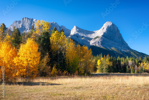 Mountain landscape in the morning. Sunbeams in a valley. Field and forest in a mountain valley. Natural landscape with bright sunshine. High rocky mountains. Banff National Park, Alberta, Canada.