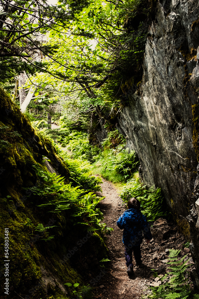 Skerwink Trail, Trinity, Newfoundland, Canada