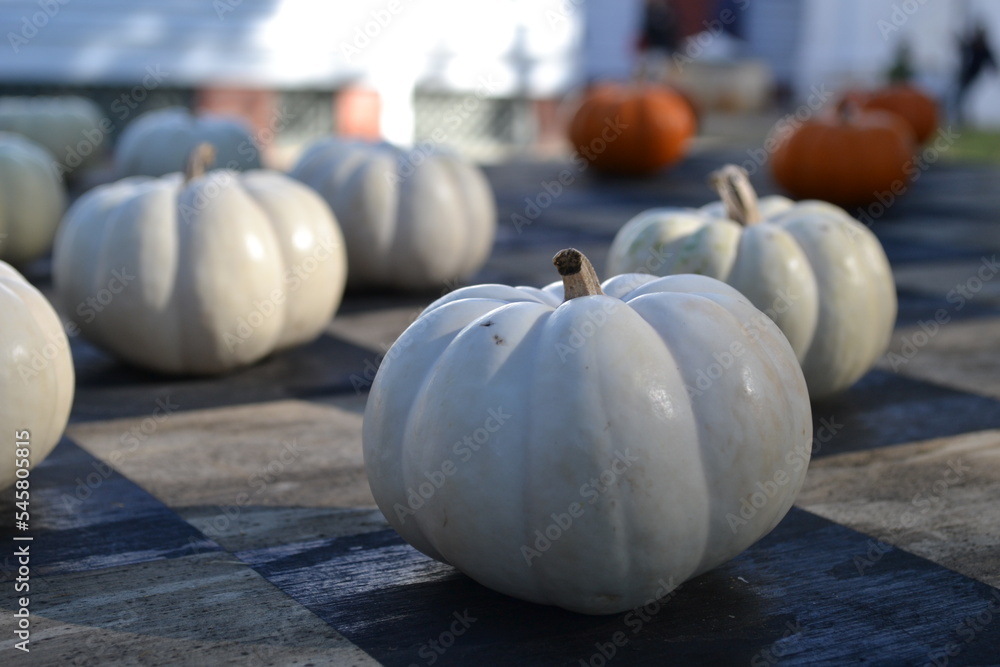 Small white pumpkins on a table