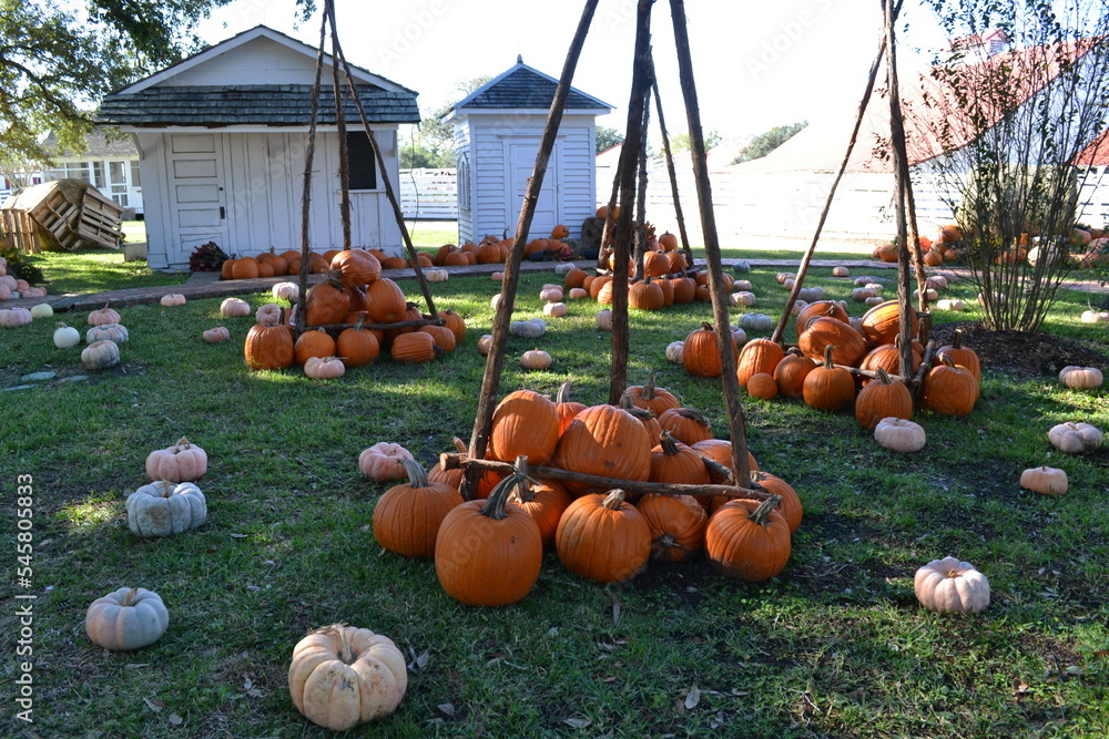 Pumpkins and sticks decoration in the garden