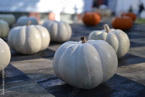 Obraz na płótnie Small white pumpkins on a table w salonie