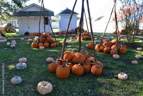 Obraz na płótnie Pumpkins and sticks decoration in the garden w salonie