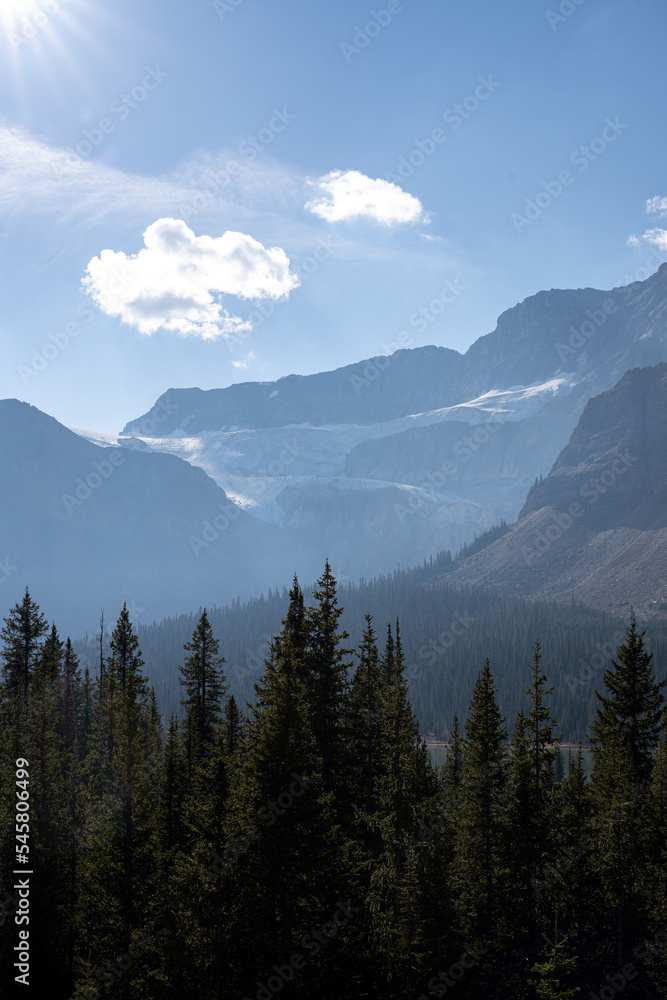 mountain side glacier in banff national park over the forest
