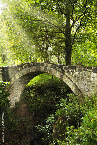 Beautiful old stone bridge and green trees in park