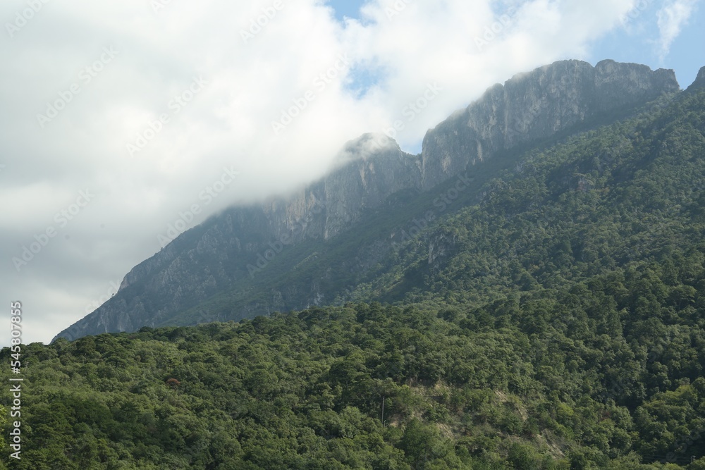 Picturesque view of big mountains and trees under cloudy sky Picturesque view of big mountains and trees under cloudy sky