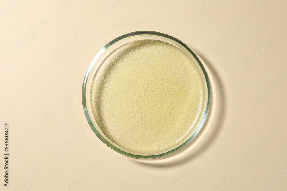 Petri dish with color liquid on beige background Petri dish with color liquid on beige background