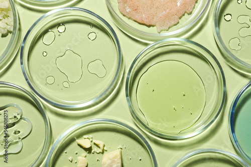 Flat lay composition with Petri dishes on light green background