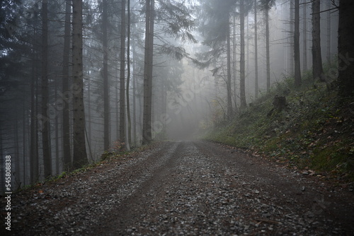 road in the fog, autumn in mountain