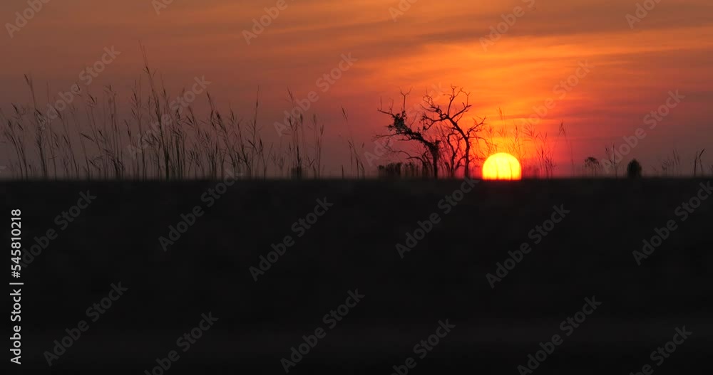 Road silhouette with cars and beautiful sunset landscape background, big sunset,silhouette of trees against sunset Road silhouette with cars and beautiful sunset landscape background, big sunset,silhouette of trees against sunset