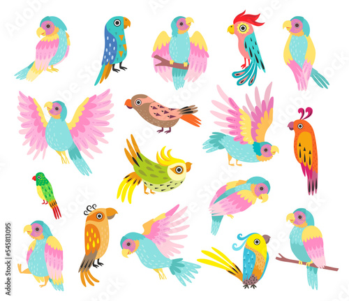 Bright Tropical Parrot Bird with Colorful Feathers and Beak Big Vector Set © topvectors