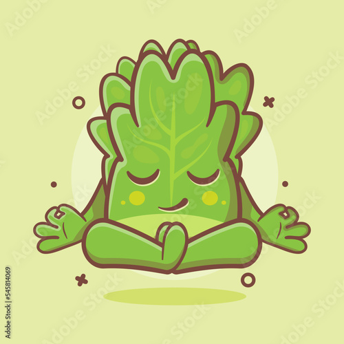 calm lettuce vegetable character mascot with yoga meditation pose isolated cartoon in flat style design