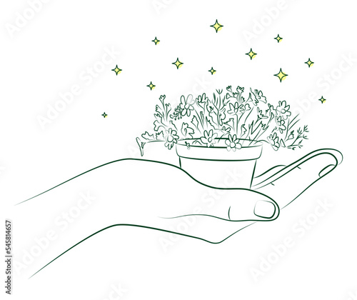 Female hand holds flower pot with small houseplant or seedlings. Care for indoor flowers. Creation of coziness in house. Women's hobby of growing indoor plants. Mini business concept. Linear sketch