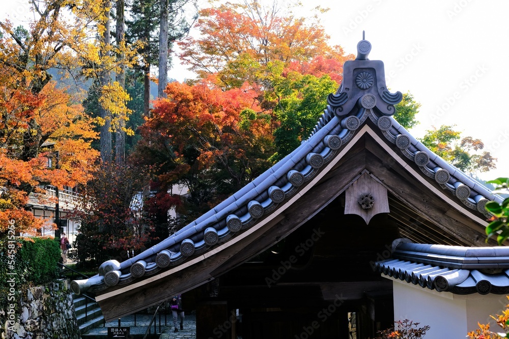 秋,紅葉,京都,日本,日本庭園,風景, ,旅行, 建築,自然,木,背景,黄色,庭, ,光,観光スポット, 寺, 古い, 古代の 秋,紅葉,京都,日本,日本庭園,風景, ,旅行, 建築,自然,木,背景,黄色,庭, ,光,観光スポット, 寺, 古い, 古代の