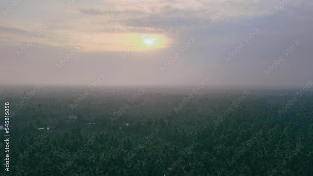 aerial view from drone coconut grove at sunrise at the waterfront community, Amphawa, Samut Songkhram Province, Thailand aerial view from drone coconut grove at sunrise at the waterfront community, Amphawa, Samut Songkhram Province, Thailand