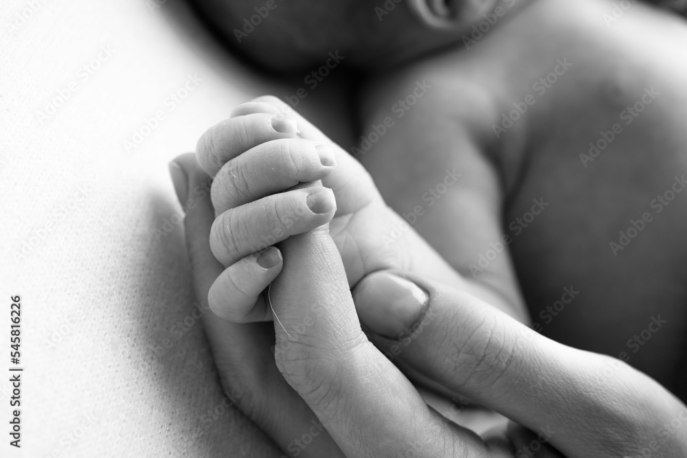 Close-up little hand of child and palm of mother and father. The newborn baby has a firm grip on the parent's finger after birth. A newborn holds on to mom's, dad's finger. Black and white photo. Close-up little hand of child and palm of mother and father. The newborn baby has a firm grip on the parent's finger after birth. A newborn holds on to mom's, dad's finger. Black and white photo.