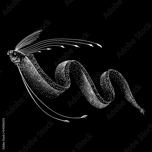 Oarfish hand drawing vector isolated on black background.